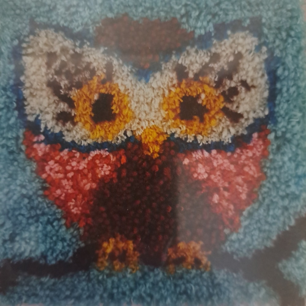 WonderArt Latch Hook Kit – “Hoot Hoot” Owl Design – 12” x 12” - Picture 4 of 5
